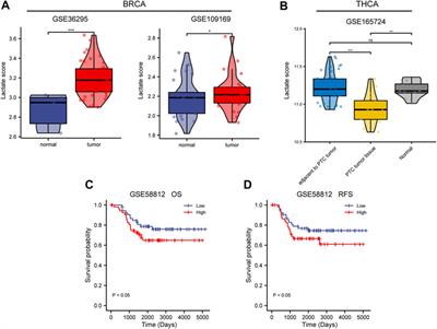 Characterization of Lactate Metabolism Score in Breast and Thyroid Cancers to Assist Immunotherapy via Large-Scale Transcriptomic Data Analysis